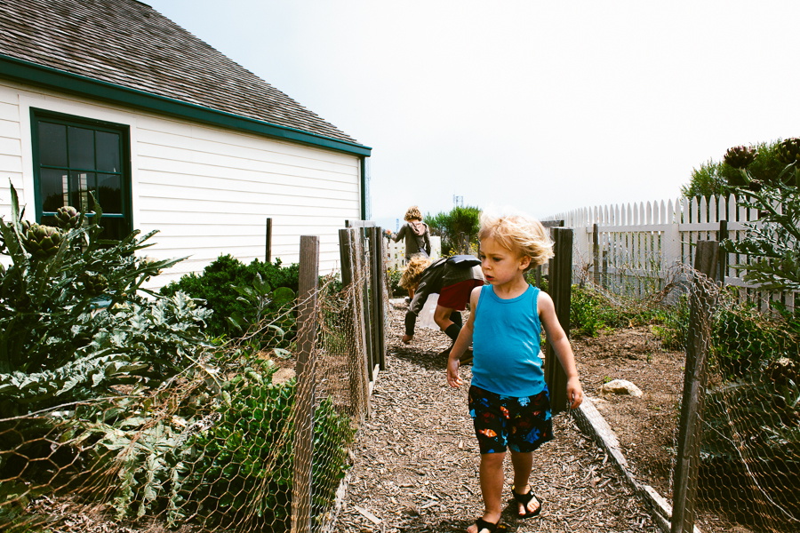 Point Loma » Sharon McKeeman Blog